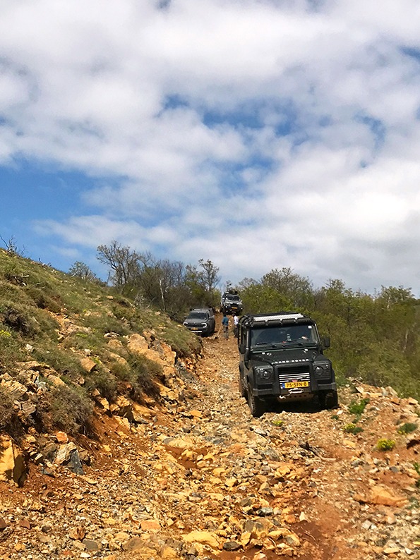 480816291_1028156216014375_7614324634443519385_n