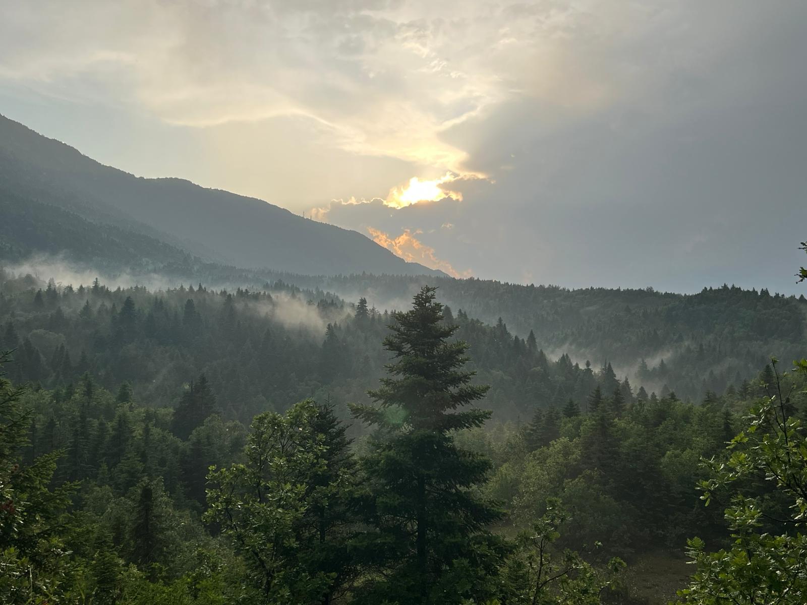 515104291_1125723889590940_2532970639271674204_n